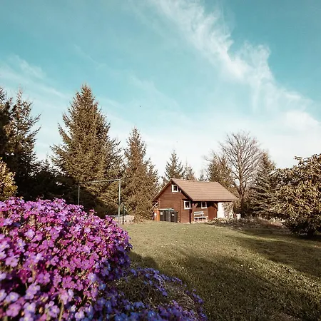 Tannenblick Holiday home *