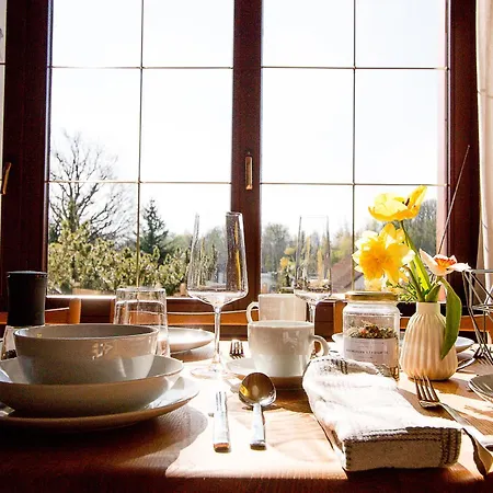 Tannenblick Rochlitz